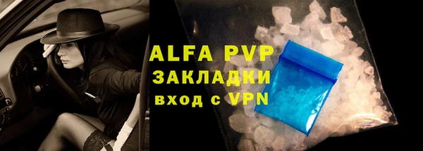 спиды Новозыбков