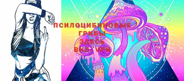 PSILOCYBIN Киреевск