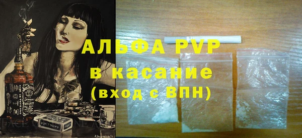 спиды Новозыбков