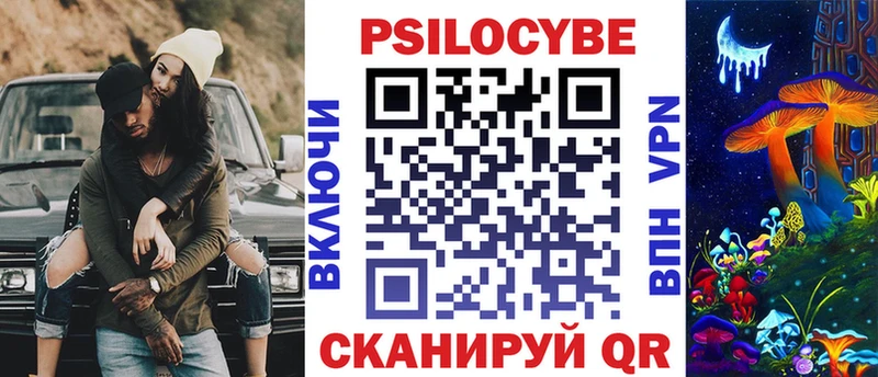 Псилоцибиновые грибы Cubensis Касимов