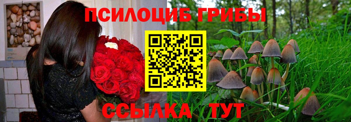 Касимов  ГАШИШ  Вход с VPN  А ПВП СОЛЬ   Меф  МЕФ кристаллы  Марихуана  COCAIN 