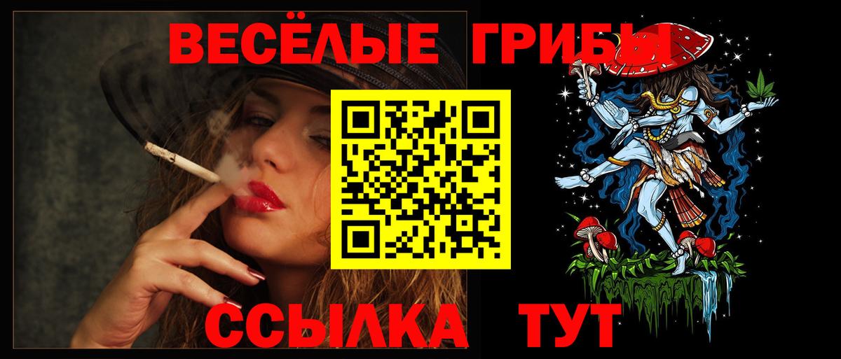 Псилоцибиновые грибы Psilocybe  Псилоцибиновые грибы Magic Shrooms  Касимов 